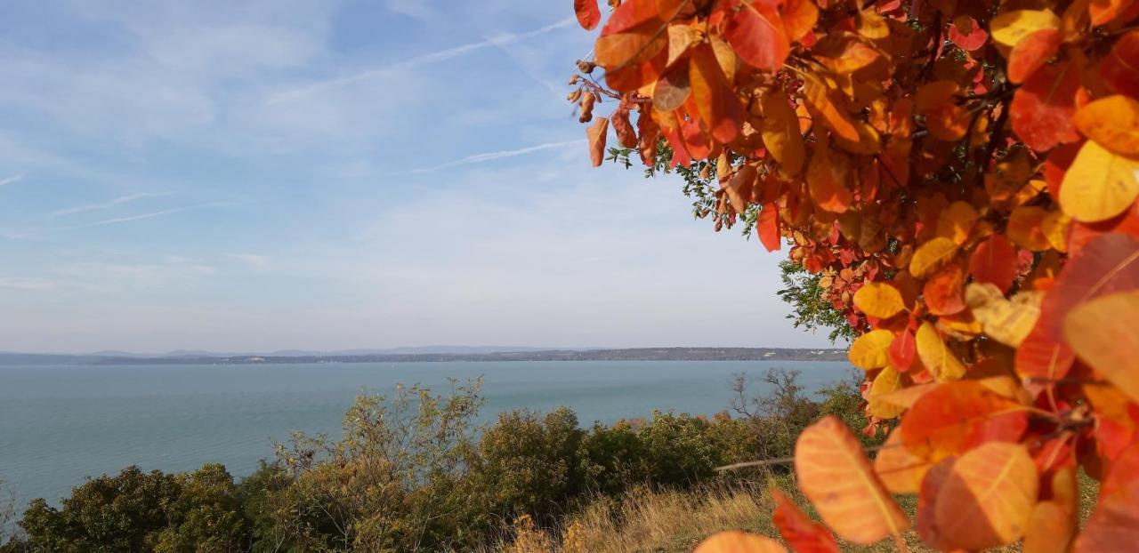 Riviera Wellness Apartman Siófok Exteriör bild